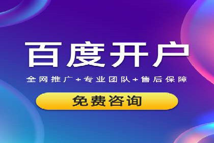 百度推广优化策略：成功案例解析