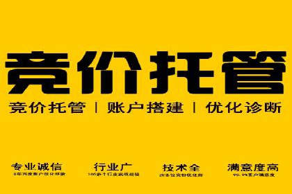 百度推广代运营公司成功案例：精准投放广告的秘诀
